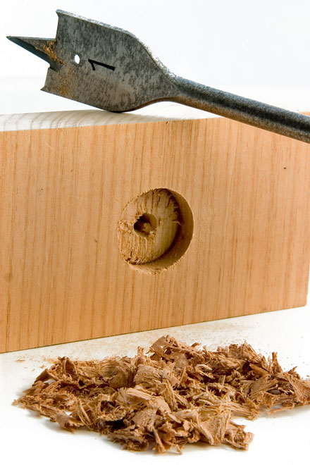 spade bit, sawdust, and partially drilled hole